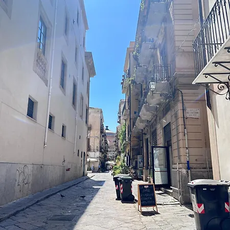 公寓 Dimora Dell'olivella 1 *